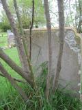 image of grave number 227063